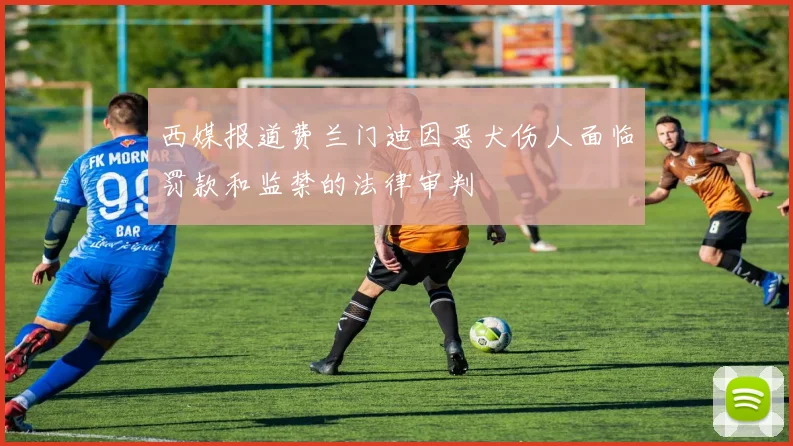 西媒报道费兰门迪因恶犬伤人面临罚款和监禁的法律审判